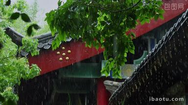 雨天屋檐雨滴中式建筑雨水雨景